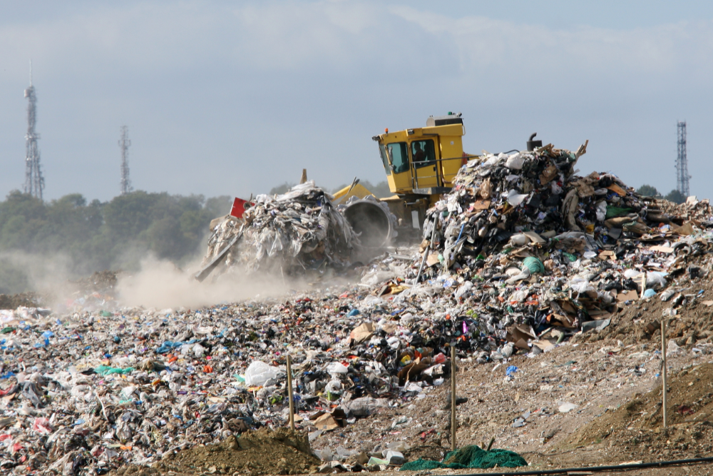 How do landfills work? Bonza Bins